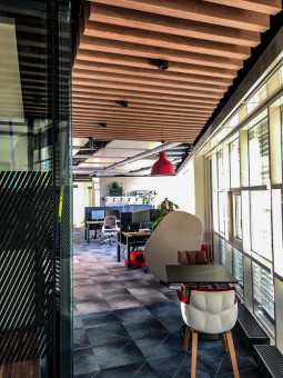 Warehouse 500 - Büroeinrichtung - München 7 Moderner Bürobereich mit Holzdecke, flexiblen Arbeitsplätzen und Pflanzen, die für eine angenehme Arbeitsatmosphäre sorgen.