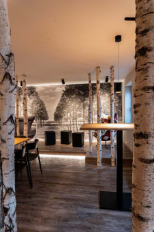 May Landschaftsbau - Büroeinrichtung - Feldkirchen 9 Moderne Innenräume mit Birkenstämmen und einer Wanddekoration mit Baumansicht, stilvolle Sitzmöglichkeiten im Vordergrund.