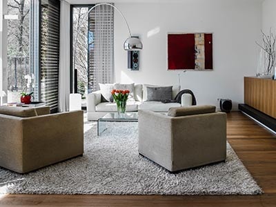 helles Wohnzimmer mit grauen Sesselnauf einem Teppich