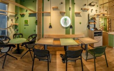 Katzentempel München: Vegane Küche mit 6 wilden Gästen